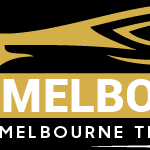 Airport Chauffeur  Melbourne