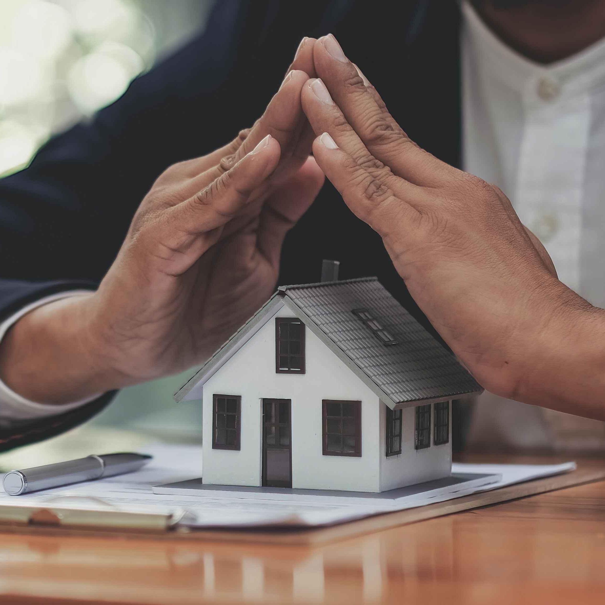 Legivista Endeavours