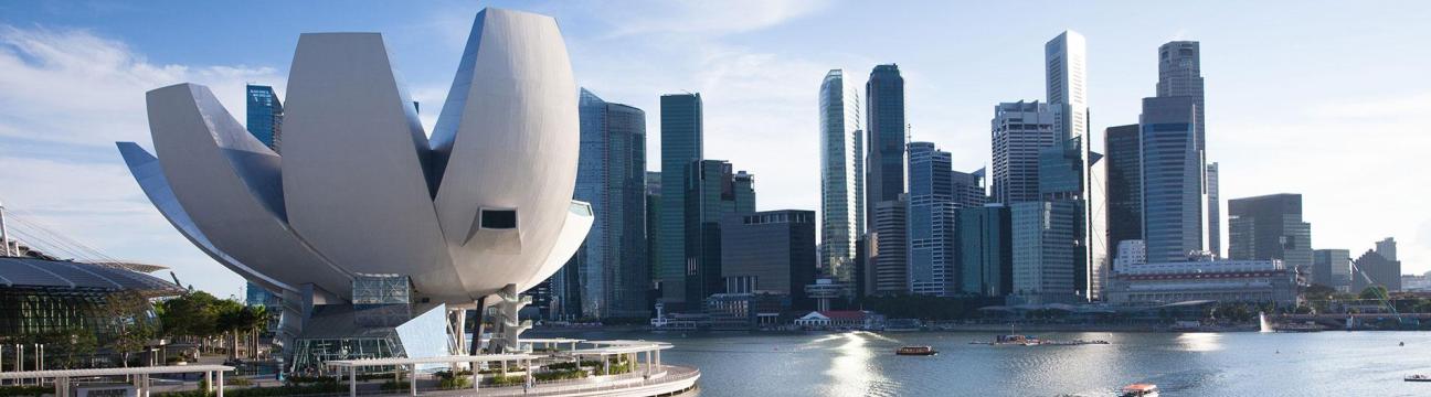 Business Tax Accountancy 