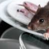 Riwoj75053 Riwoj75053