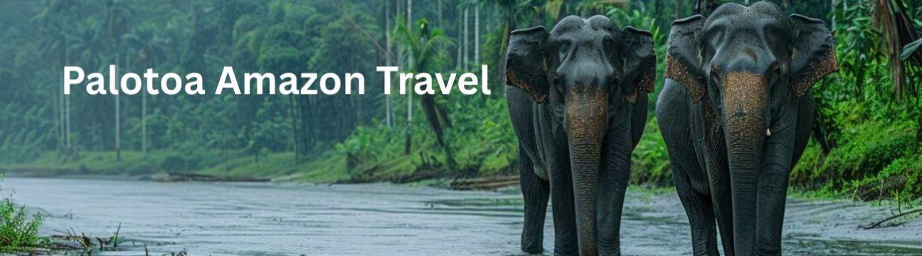 Palotoa Amazon Travel