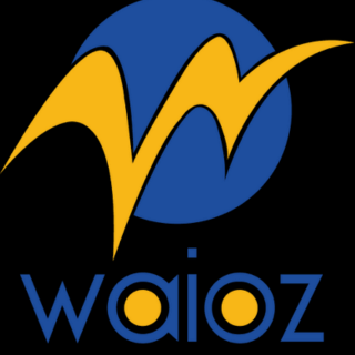 Waioz Consultancy Services
