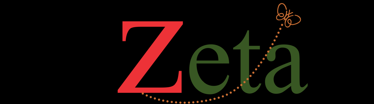 ZetaIO Digital Marketing Agency