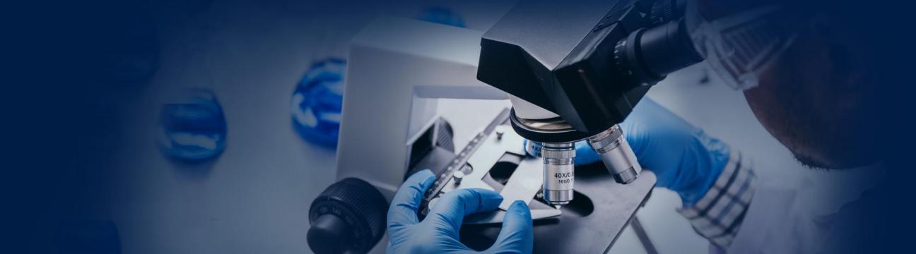 Global Supply Exchange