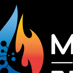 Meticulosity Cleaning