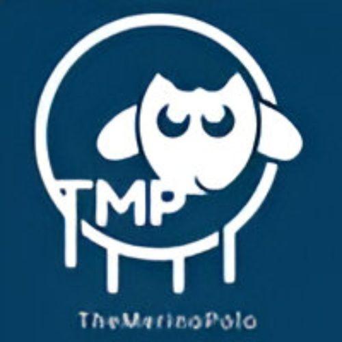 The Merino Polo