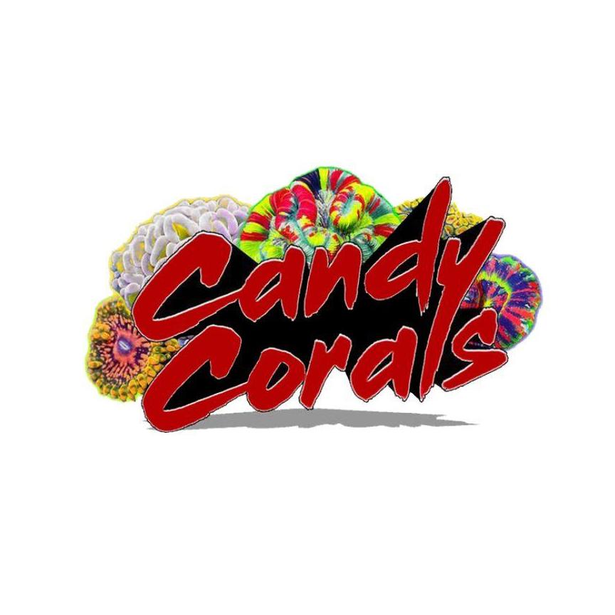 Candy Corals