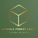 Invisibleforest Lodge