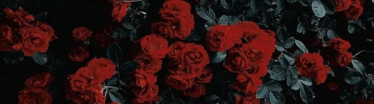 Temptation Florist