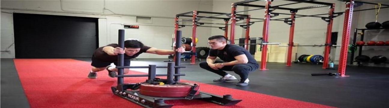 Transform180 Training