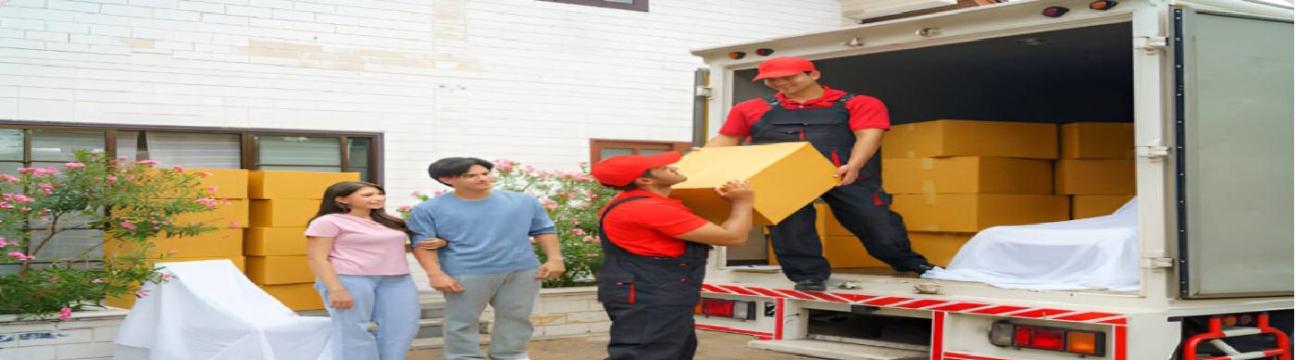 Removalist Auction