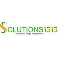 Solutions 1313