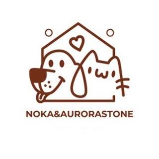 NoKa & AuroraStone