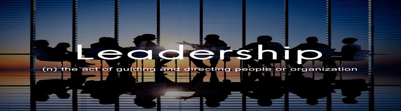 Nyra Leadership Consulting