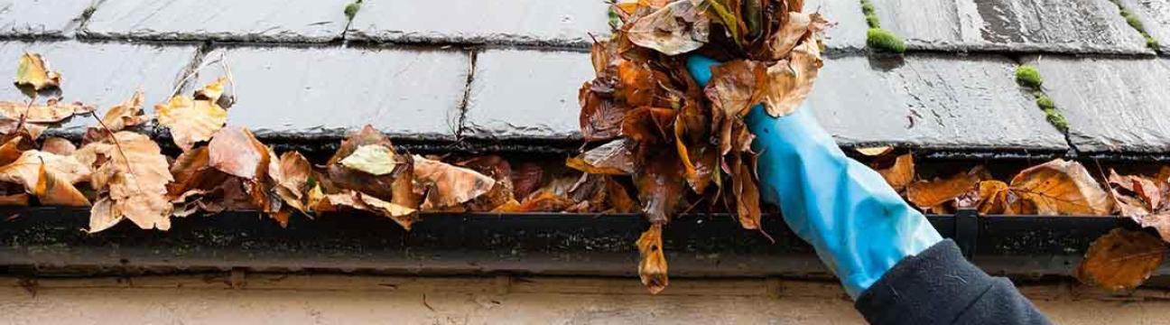 Gutter Cleaning  Warrnambool